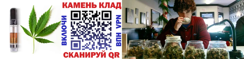 Купить закладки  Сураж  Cannafood марихуана 